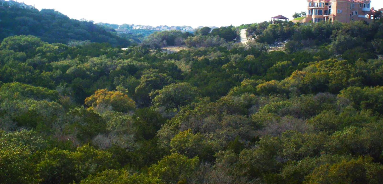 Tree-covered hills and a building beneath a bright sky, viewed toward the west